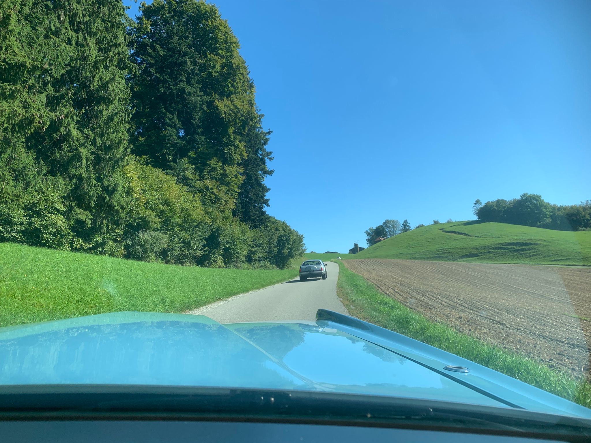 Herbstausflug / Autumn trip 2025